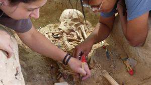 Els treballs per plantar una vinya posen al descobert restes ibèriques i una necròpolis romana a Avinyonet del Penedès. ACN