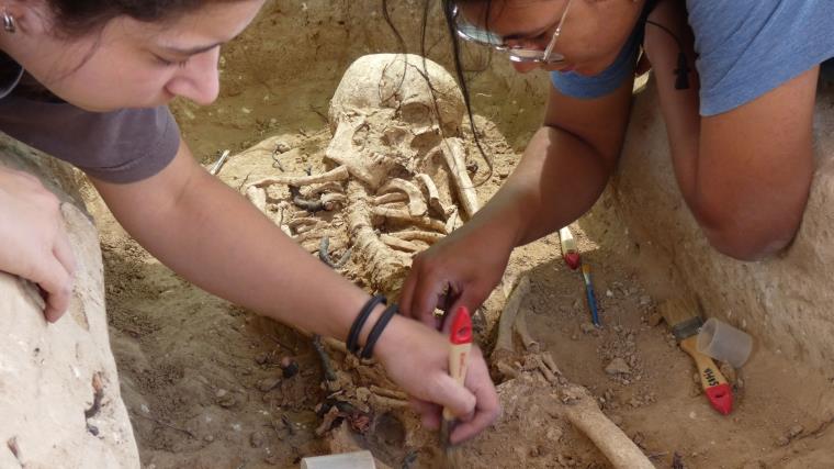 Els treballs per plantar una vinya posen al descobert restes ibèriques i una necròpolis romana a Avinyonet del Penedès. ACN