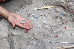 Excavacions d'aquest mes d'agost al jaciment neolític de Sant Martí Sarroca.