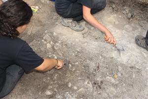 Excavacions d'aquest mes d'agost al jaciment neolític de Sant Martí Sarroca.