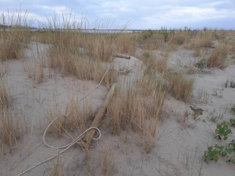 Identificats un home i una dona a Cubelles pel furt i danys en els pals de fusta d’abalisament de les platges. Ajuntament de Cubelles