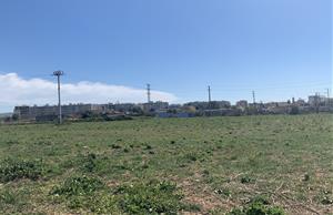 Imatge d'uns terrenys agrícoles de l'Eixample Nord de Vilanova i la Geltrú. EIX