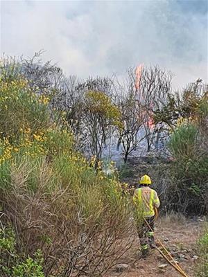 Incendi al barranc del Fideuer de Sant Sadurní d'Anoia. Ajt Sant Sadurní d'Anoia