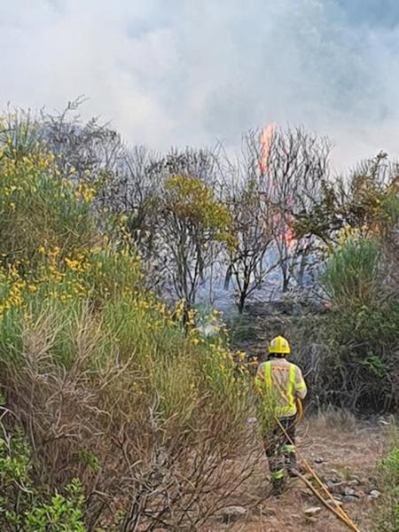 Incendi al barranc del Fideuer de Sant Sadurní d'Anoia. Ajt Sant Sadurní d'Anoia