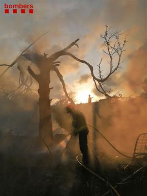 Incendi d'una barraca a la zona de l'Ortoll, a Vilanova, crema un post de mitja tensió. Bombers