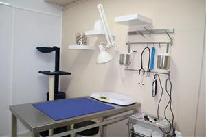 La clínica veterinària Sant Joan, especialitzada en el pacient felí
