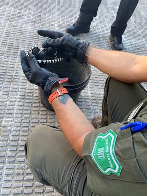 La policia de Vilanova rescata una cria de serp localitzada a la rambla Principal