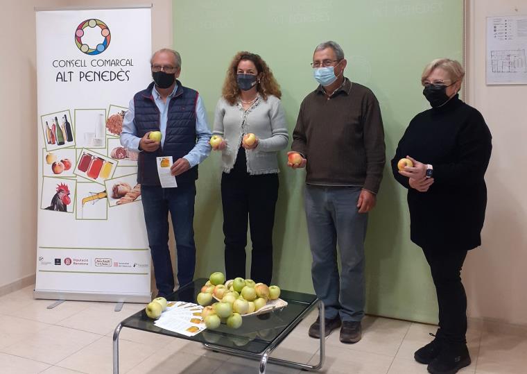 La poma de Pontons, protagonista de la nova campanya de promoció del Consell Comarcal i l’Ajuntament. CC Alt Penedès