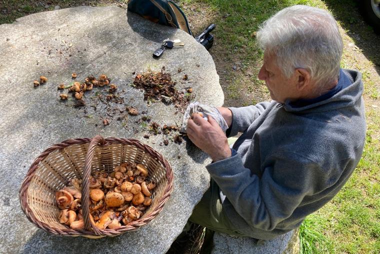 La temporada de bolets arrenca amb un mes de retard i els experts pronostiquen que no serà de les millors. ACN