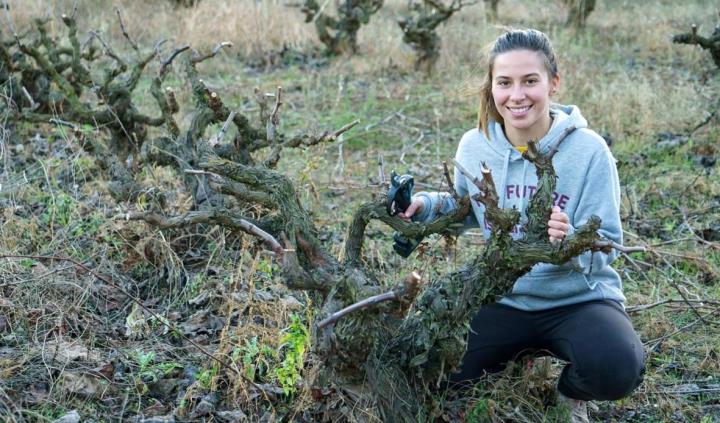 La vinya és el conreu amb més hectàrees dedicades a agricultura ecològica. BCN Smart Rural