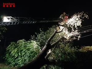 L'aiguat d'aquesta nit fa caure un arbre a la catenària del tren a Vilanova i s'incendia. Bombers