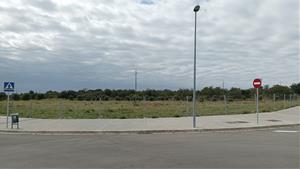 L’Ajuntament del Vendrell intensificarà la inspecció de solars i el tràmit de sancions a partir de l’1 de juny