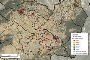 L'Alt Penedès avisa que els parcs solars projectats són desproporcionats urbanísticament i malmeten espais protegits. ACN