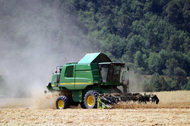 L'Anoia registra la pitjor campanya del cereal de l'última dècada per culpa de la sequera. ACN