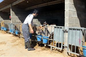 L'Anoia s'emmiralla en el Baix Llobregat i crea un Parc Agrari per promoure el consum i la producció de km 0