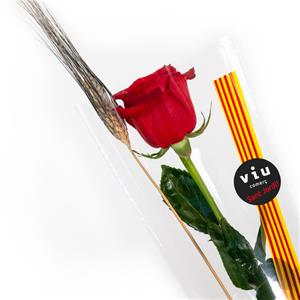 L'Associació Viu Comerç omplirà de roses les botigues i carrers de Vilanova i la Geltrú per Sant Jordi. EIX
