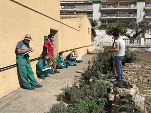 L’equip de joves voluntaris i l’equip del Centre d’Interpretació de la Malvasia. Eix