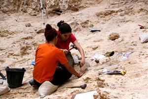 Les excavacions a l'Abric Romaní de l'Anoia revelen l'estada de caçadors de cérvols fa 60.000 anys