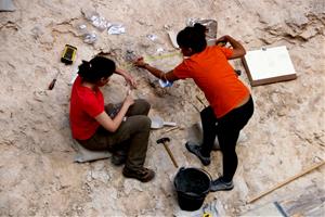 Les excavacions a l'Abric Romaní de l'Anoia revelen l'estada de caçadors de cérvols fa 60.000 anys