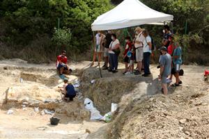 Les excavacions en un jaciment de Subirats treuen a la llum restes de cocodril i rinoceront de fa 16 milions d'anys