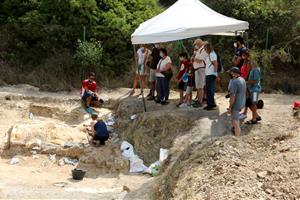 Les excavacions en un jaciment de Subirats treuen a la llum restes de cocodril i rinoceront de fa 16 milions d'anys