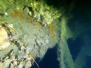 Localitzen a la costa de Vilanova i la Geltrú un vaixell de vapor britànic enfonsat durant la primera Guerra Mundial