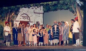 Miquel González canta “la bota” als Pastorets de La Unió Vilanovina al Teatre Principal, el 1993. Fons La Unió Vilanovina