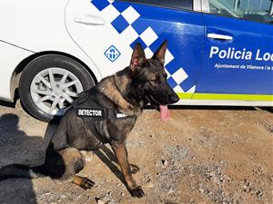 Narco ajuda la policia local de Vilanova a detectar droga a les portes dels instituts. Policia local de Vilanova