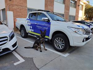 Narco ajuda la policia local de Vilanova a detectar droga a les portes dels instituts