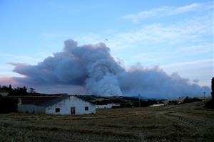 Nit d'alerta al nord del Penedès per l'incendi sense control de Santa Coloma de Queralt