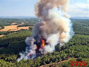 Nit d'alerta al nord del Penedès per l'incendi sense control de Santa Coloma de Queralt