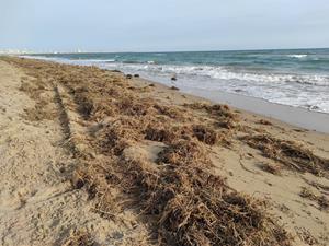 Nous treballs a Calafell per pal·liar la pèrdua de sorra als punts més afectats de les platges. Ajuntament de Calafell