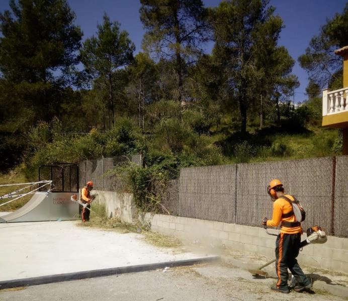 Olivella desbrossa diverses zones forestals per reduir el risc d'incendis. Ajuntament d'Olivella