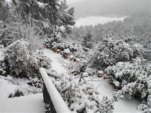 Paisatge plens de neu a La Llacuna