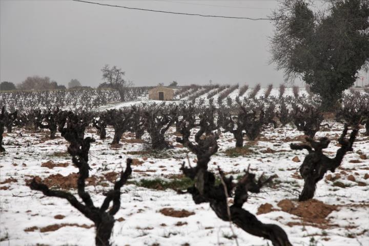 Paisatge plens de neu a Subirats. Rosa Maria Ferre