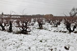 Paisatge plens de neu a Subirats