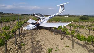 Pla general de l'avioneta del CESDA i del pilot parlant per telèfon damunt d'una ala després de fer un aterratge d'emergència en un camp de vinyes. AC