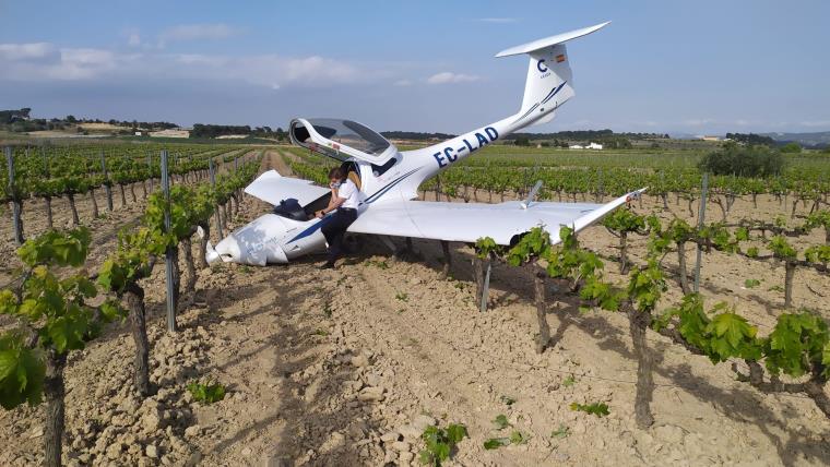 Pla general de l'avioneta del CESDA i del pilot parlant per telèfon damunt d'una ala després de fer un aterratge d'emergència en un camp de vinyes. AC