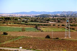 Pla general de part dels terrenys de Banyeres del Penedès on CIMALSA preveu la construcció del Logis Penedès. ACN