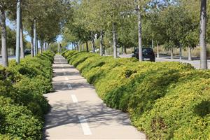 Pla general d'un carril bici en una de les avingudes ja urbanitzades al Parc de l'Alba de Cerdanyola del Vallès. ACN