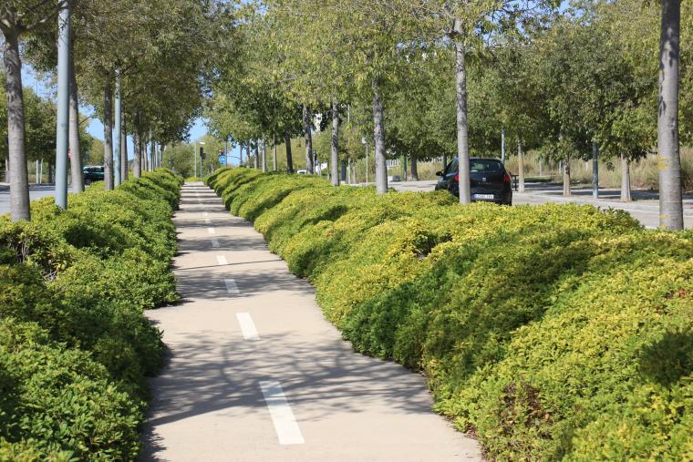 Pla general d'un carril bici en una de les avingudes ja urbanitzades al Parc de l'Alba de Cerdanyola del Vallès. ACN