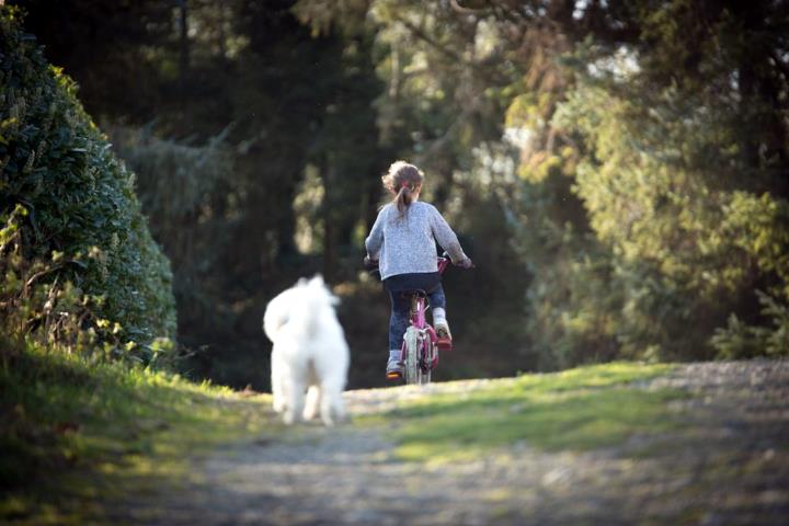 Pla general d'un gos corrent darrera d'una nena que va en bicicleta. Imatge del 17 de març de 2021. URV