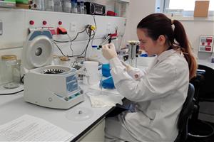 Pla general d'una investigadora del Laboratori d’Ictiologia Genètica treballant en l’anàlisi genètic de la gamba vermella . Universitat de Girona