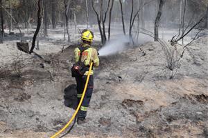 Pla mitjà d'un bomber remullant una de les zones cremades a l'incendi de Ventalló aquest diumenge 25 de juliol de 2021. ACN