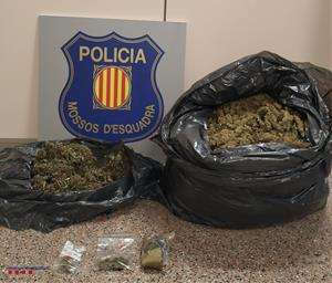 Pla obert dels cabdells de marihuana localitzats pels Mossos d'Esquadra dins un cotxe, a Cunit. Mossos d'Esquadra