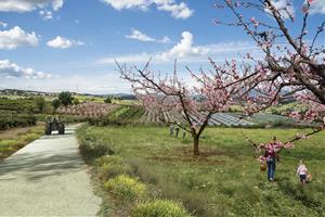 Projecte Agroparc Penedès d'Ametller Origen. Eix