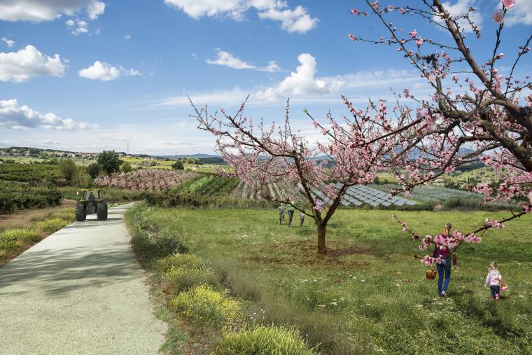 Projecte Agroparc Penedès d'Ametller Origen. Eix