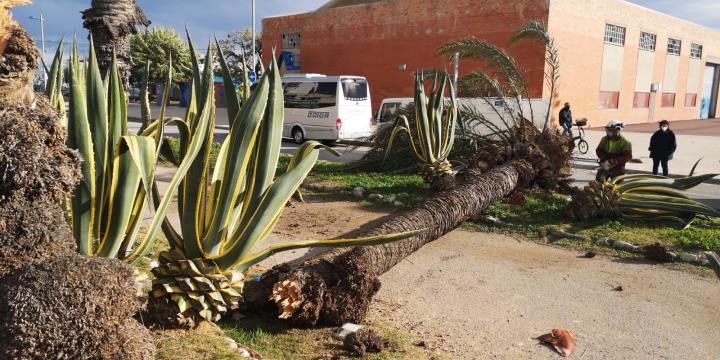 Protecció Civil dona per finalitzada l'alerta pel temporal de vent després d'un matí d'incidents al Penedès i Garraf. EIX