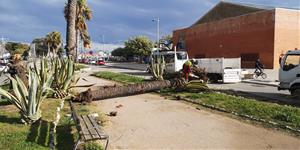 Protecció Civil dona per finalitzada l'alerta pel temporal de vent després d'un matí d'incidents al Penedès i Garraf