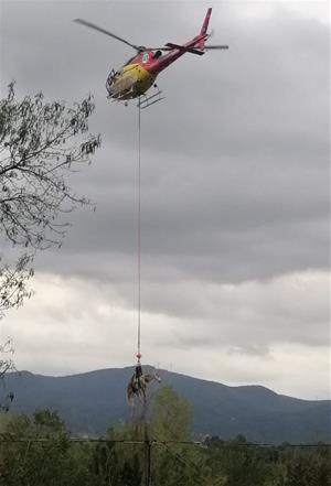 Rescaten un cavall que havia quedat atrapat durant gairebé 24 hores dins un torrent a Sant Llorenç d'Hortons